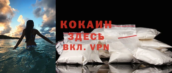 стаф Новозыбков