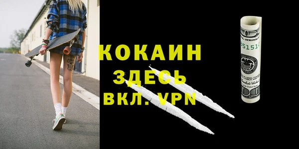 стаф Новозыбков