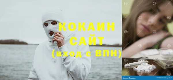 стаф Новозыбков