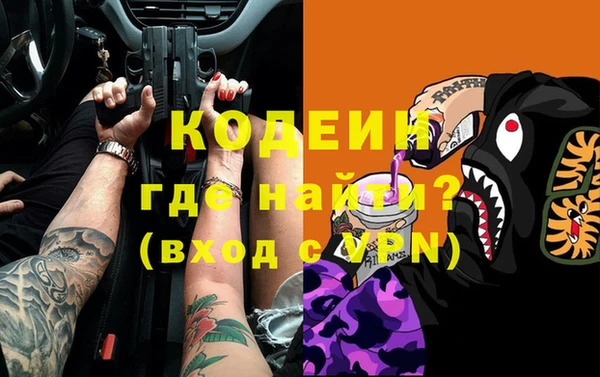 стаф Новозыбков