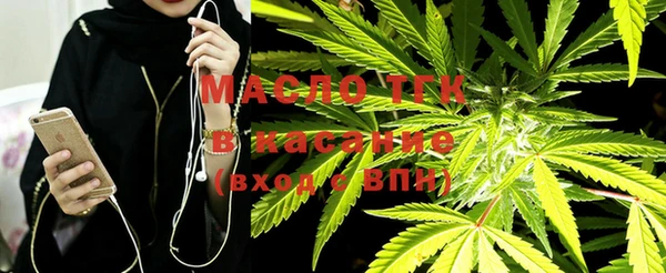 крисы Новокубанск