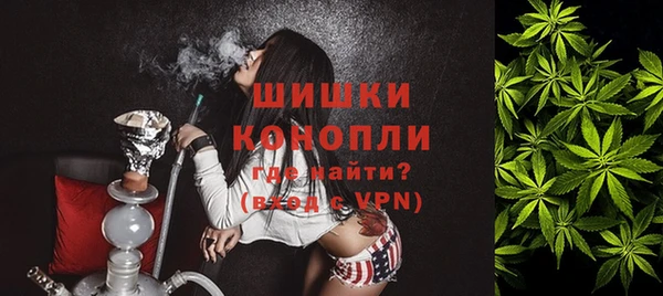 крисы Новокубанск