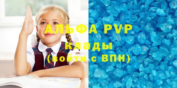стаф Новозыбков