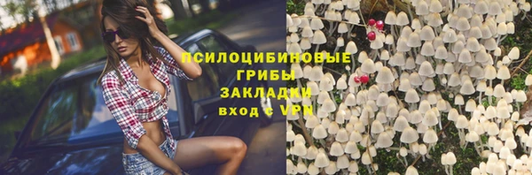 стаф Новозыбков