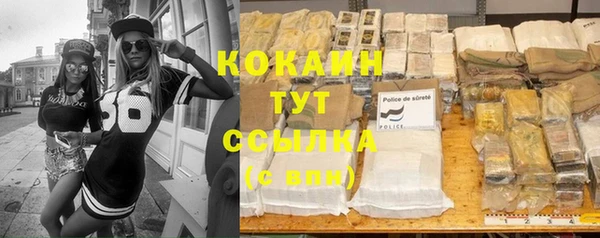стаф Новозыбков
