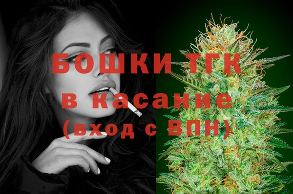 стаф Новозыбков