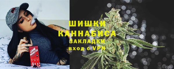 крисы Новокубанск