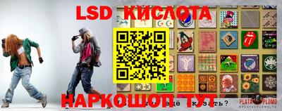 бошки Донецк