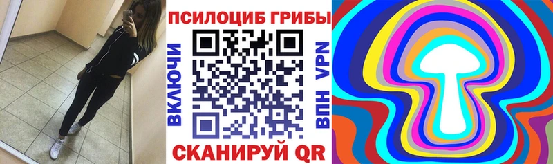 закладка  Краснокамск  мега ссылки  Галлюциногенные грибы прущие грибы 