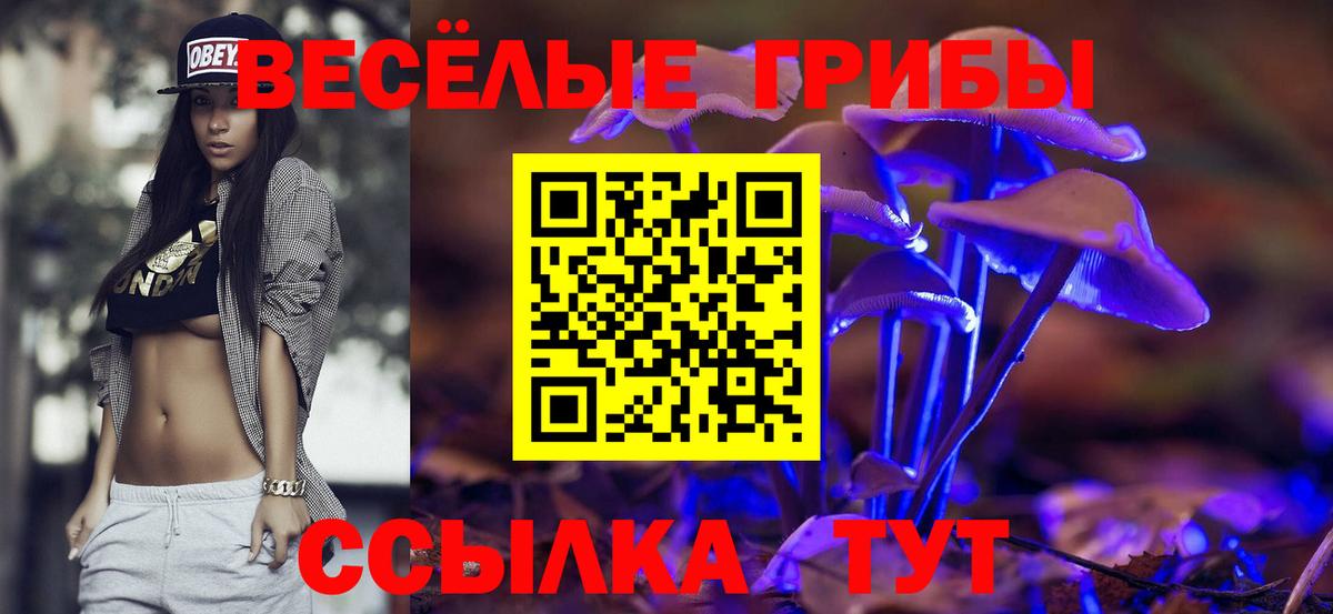 Галлюциногенные грибы MAGIC MUSHROOMS  Галлюциногенные грибы GOLDEN TEACHER  Краснокамск  Вход с VPN 